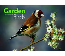 Otter House - Garden Birds A4 Calendar 2027