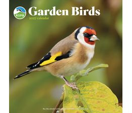 Otter House - Garden Birds RSPB Wall Calendar 2027