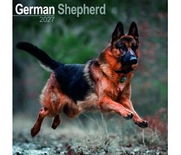 Otter House - German Shepherds Wall Calendar 2027