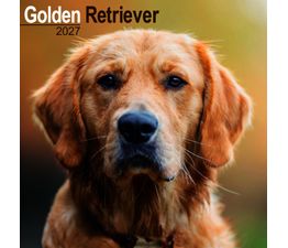 Otter House - Golden Retriever Wall Calendar 2027