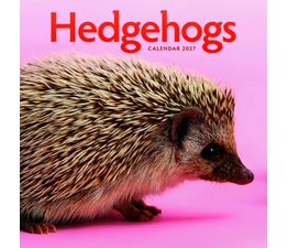Otter House - Hedgehogs Wall Calendar 2027