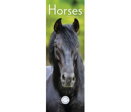 Otter House - Horses Slim Calendar 2027