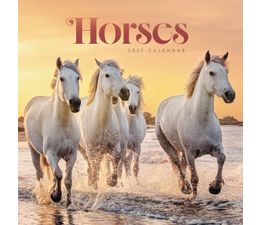 Otter House - Horses Wiro Wall Calendar 2027