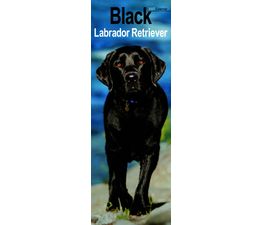 Otter House - Labrador Retriever Black Slim Calendar 2027