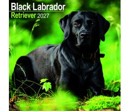 Otter House - Labrador Retriever Black Wall Calendar 2027