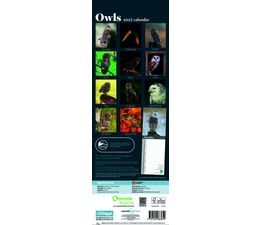 Otter House - Owls RSPB Slim Calendar 2027