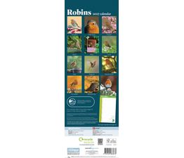Otter House - Robins RSPB Slim Calendar 2027