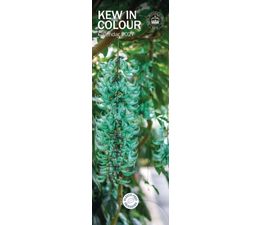 Otter House - Royal Botanic Gardens Kew Kew in Colour Slim Calendar 2027