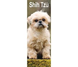 Otter House - Shih Tzu Slim Calendar 2027