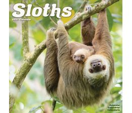 Otter House - Sloths Wall Calendar 2027