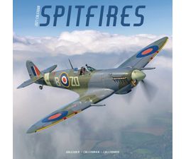 Otter House - Spitfires Wall Calendar 2027