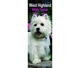 Otter House - West Highland White Terrier Slim Calendar 2027