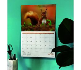 Otter House - Wildlife of Britain A4 Calendar 2027