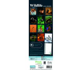 Otter House - Wildlife RSPB Slim Calendar 2027
