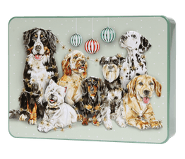 Bramble Foods - Embossed Dogs &amp; Baubles Biscuit Tin 300g