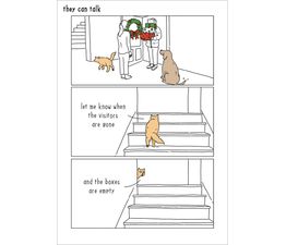 Cat &amp; Empty Boxes Christmas Card