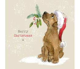 Chocolate Labrador Christmas Card