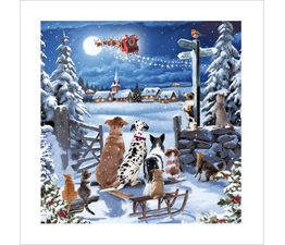 Dogs and Cats Looking Up At Santa Christmas Card