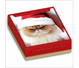 Grumpy Cat With Santa Hat Box of Christmas Cards