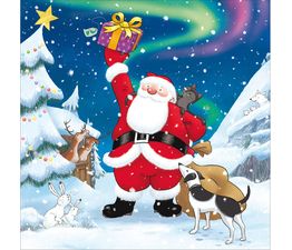 Northern Lights Santa Christmas Card