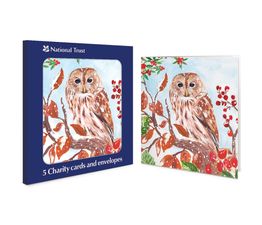 Owl Charity Pack of Christmas Cards