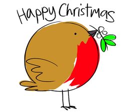 Robin &amp; Mistletoe Christmas Card