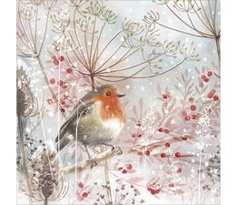 Robin Amongst Seed Stems Christmas Card