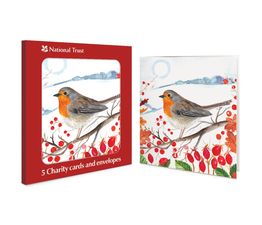 Robin on a Berry Branch Charity Pack of Christmas Cards