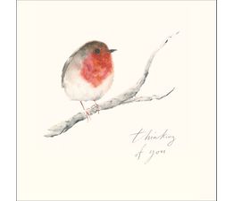 Robin On A Branch Christmas Card