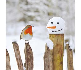 Robin On A Snowy Fence Christmas Card