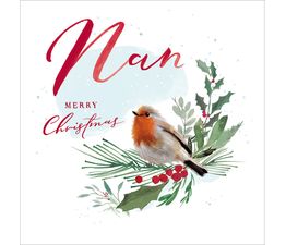 Nan Robin On Foliage Christmas Card