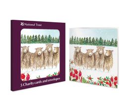 Sheep Charity Pack of Christmas Cards