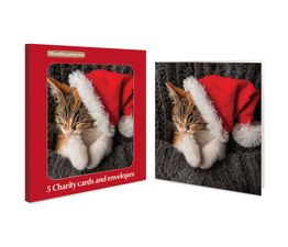 Sleepy Santa Charity Pack of Christmas Cards