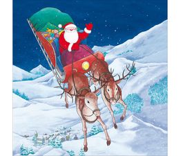 Sleigh Flying Christmas Card