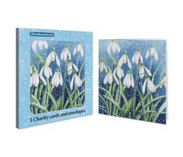 Snowdrops in the Snow Charity Pack of Christmas Cards