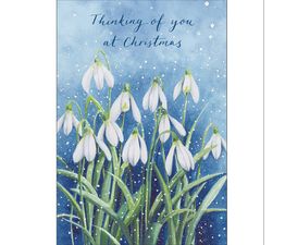 Thinking of You Snowdrops In The Snow Christmas Card