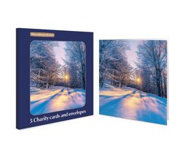 Sun Shining through the Trees in a Snowy Woodland Scene Charity Pack of Christmas Cards