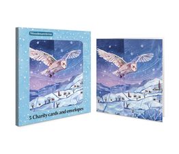 Two Owls Flying over Snowy Village Charity Pack of Christmas Cards