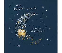 Special Couple Two Owls In A Crescent Moon Christmas Card