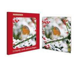 Winter Friend Charity Pack of Christmas Cards