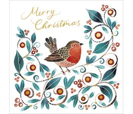 Xmas Festive Robin Box of Christmas Cards