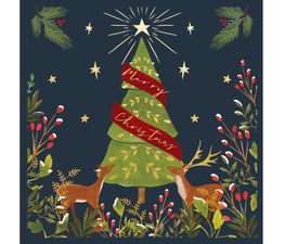 Xmas Wonder At Christmas Box of Christmas Cards