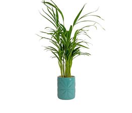 Beau &amp; Elliot Carnaby Large Ceramic Pot Teal