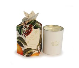 Ashleigh &amp; Burwood London - Christmas Spice Candle 170g