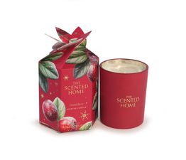 Ashleigh &amp; Burwood London - Frosted Berry Candle 170g