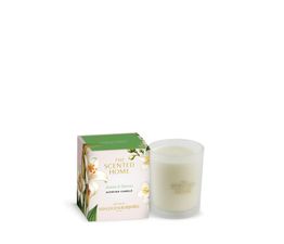 Ashleigh &amp; Burwood London - Jasmine &amp; Tuberose Candle 170g