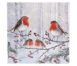 Joe Davies - Macneil Robin Napkins Pack of 20
