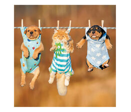 3 Dogs And A Cat In Babygros On A Washing Line