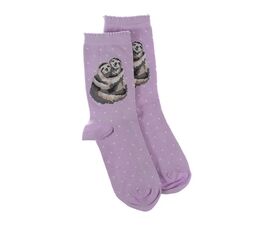 Wrendale Designs - Sloth Sock - Little Card Big Hug