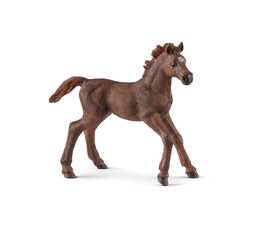 Schleich - English Thoroughbred Foal - 13857